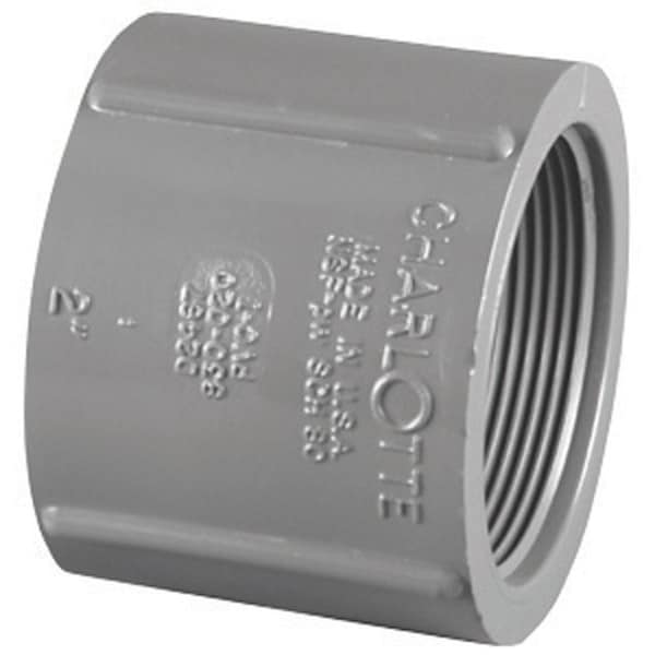 Charlotte Pipe And Foundry Charlotte Pipe Schedule 80 3/4 in. FPT X 3/4 in. D FPT PVC Coupling 1 pk PVC 08102 1200 - main